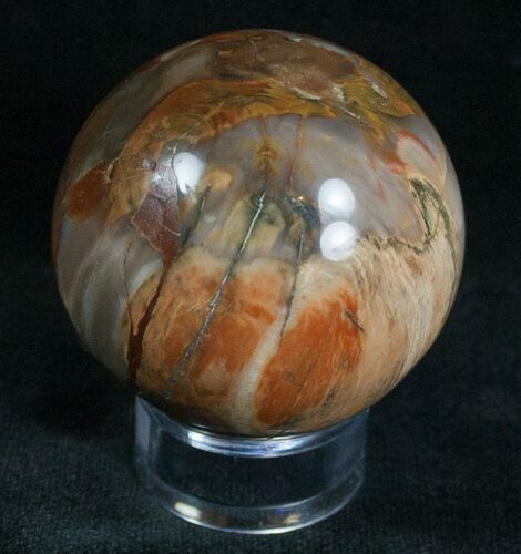 Colorful Petrified Wood Sphere #6808